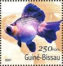 Colnect-1740-457-Breed-Form-of-Goldfish-Carassius-auratus-auratus.jpg