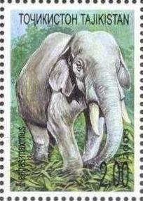 Colnect-1101-930-Asian-Elephant-Elephas-maximus.jpg