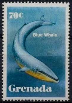 Colnect-1252-643-Blue-Whale-Balaenoptera-musculus.jpg