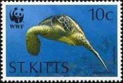 Colnect-1659-384-Green-Turtle-Chelonia-mydas-swimming.jpg