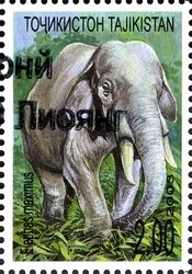 Colnect-1739-093-Asian-Elephant-Elephas-maximus.jpg