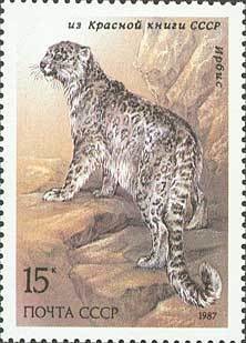 Colnect-195-432-Snow-Leopard-Uncia-uncia.jpg