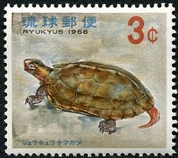 Colnect-197-592-Spengler--s-Turtle-Geoemyda-japonica-spengleri.jpg
