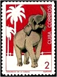 Colnect-1973-999-Asian-Elephant-Elephas-maximus.jpg