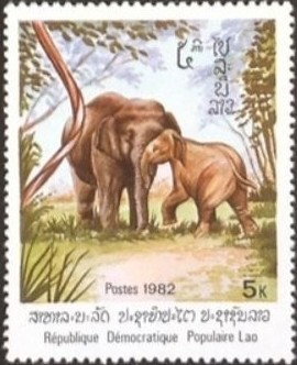 Colnect-3005-522-Asian-Elephant-Elephas-maximus.jpg