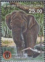 Colnect-3165-371-Asian-Elephant-Elephas-maximus.jpg