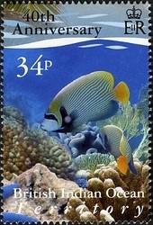 Colnect-1425-630-Queen-Angelfish-Holacanthus-ciliaris.jpg