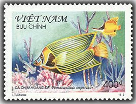 Colnect-1659-586-Emperor-Angelfish-Pomacanthus-imperator.jpg