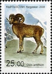 Colnect-1535-178-Argali-Ovis-ammon-ammon.jpg