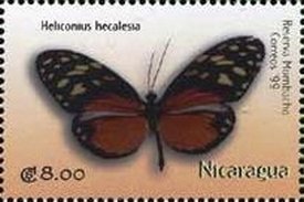 Colnect-3478-548-Heliconius-Hecalesia.jpg
