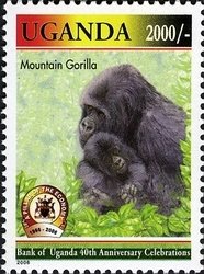 Colnect-1716-548-Mountain-Gorilla-Gorilla-beringei-beringei.jpg