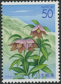 Colnect-3960-709-Fritillaria---Mount-Bessan.jpg