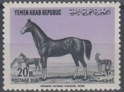 Colnect-5311-670-Arabian-Stallion-Equus-ferus-caballus.jpg