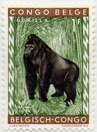 Colnect-952-220-Gorilla-Gorilla-gorilla.jpg