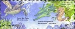 Colnect-1434-457-Green-Sea-Turtle-Chelonia-mydas-Robust-Ghost-Pipefish-So.jpg