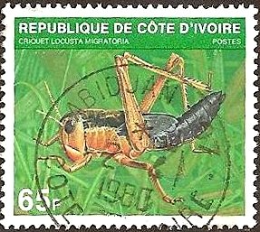 Colnect-1634-489-Migratory-Locust-Locusta-migratoria.jpg