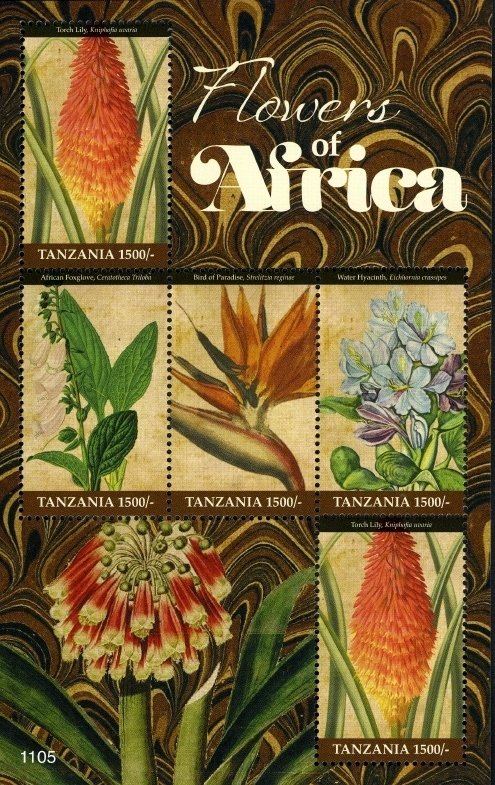 Colnect-1696-334-Flowers-of-Africa.jpg