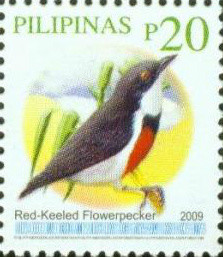 Colnect-2855-155-Red-keeled-Flowerpecker-Dicaeum-australe.jpg