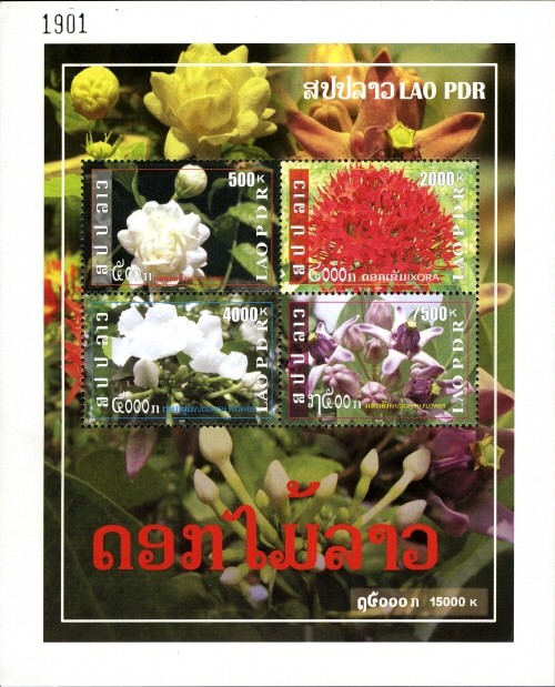 Colnect-3073-666-Lao-Flowers---Mari-Flower.jpg