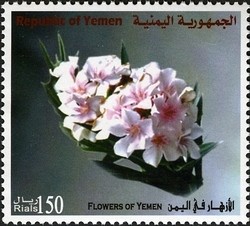 Colnect-960-978-Flowers-of-Yemen.jpg