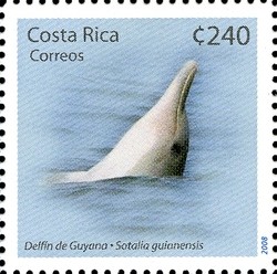 Colnect-1723-461-Guiana-Dolphin-Sotalia-guianensis.jpg