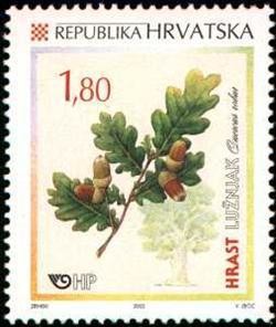 Colnect-355-555-HRAST-LUZNJAK-QUERCUS-ROBUR.jpg