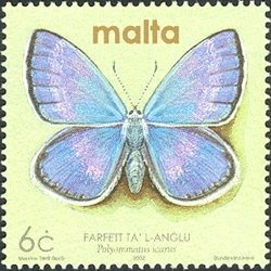 Colnect-657-488-Common-Blue-Polyommatus-icarus.jpg