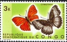 Colnect-1104-897-Glider-Butterfly-Cymothoe-reginaeelisabethae.jpg