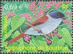 Colnect-517-950-Mascarene-Paradise-Flycatcher-Terpsiphone-bourbonnensis.jpg
