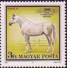 Colnect-605-637-Horse--quot-Gazal-II-quot--Equus-ferus-caballus.jpg