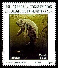 Colnect-313-102-West-Indian-Manatee-Trichechus-manatus.jpg