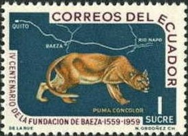 Colnect-489-528-Puma-Felis-concolor.jpg