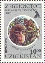 Colnect-804-382-Rhesus-macaque-Macaca-mulatta.jpg