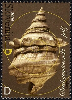 Colnect-710-455-Middle-Miocene-Fossil---Snail.jpg