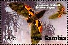 Colnect-4693-357-Hummingbird-hawkmoth.jpg