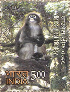 Colnect-545-412-Barbe-s-Leaf-Monkey-Trachypithecus-barbei.jpg