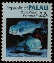 Colnect-6691-915-Bumphead-Parrotfish.jpg