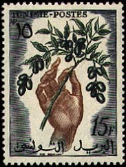 Productions_Olive_Tree_Branch_-_stamp_-Tunisia_1957.jpg