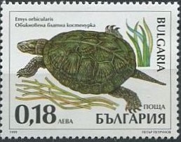 Colnect-1818-299-European-Pond-Turtle-Emys-orbicularis.jpg