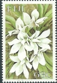 Colnect-2821-718-Dendrobium-prasinum.jpg