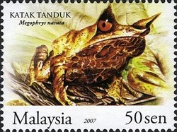 Colnect-614-122-Malayan-Horned-Frog-Megophrys-nasuta-.jpg
