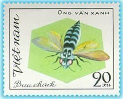 Colnect-1160-349-Ong-Van-Xanh---Bee.jpg