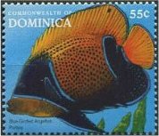 Colnect-3206-739-Blue-girdled-Angelfish-Pomacanthus-navarchus.jpg