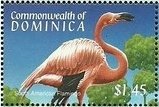 Colnect-3253-452-Caribbean-Flamingo-Phoenicopterus-ruber-ruber.jpg