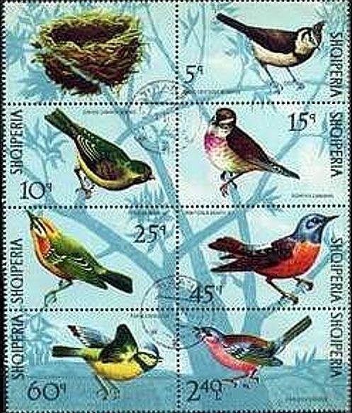 Colnect-1429-100-Birds-mini-sheet-with-one-label.jpg