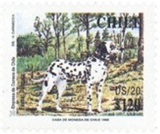 Colnect-575-503-Dalmatian-Canis-lupus-familiaris-DS-20.jpg