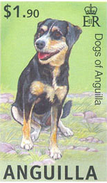 Colnect-795-888-Dog-Canis-lupus-familiaris.jpg