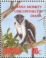 Colnect-2659-689-Diana-Monkey-Cercopithecus-diana.jpg