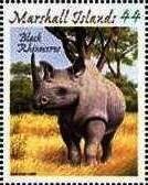 Colnect-6004-564-Black-Rhinoceros-Diceros-bicornis.jpg