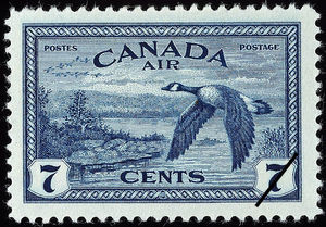 Colnect-1359-217-Canada-Goose-Branta-canadensis-near-Sudbury-Ont.jpg